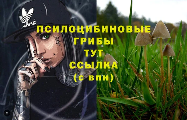герыч Елабуга