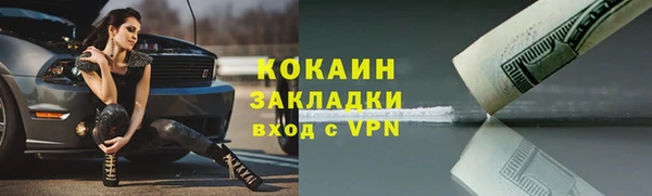 соль ск Елизово