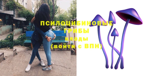герыч Елабуга