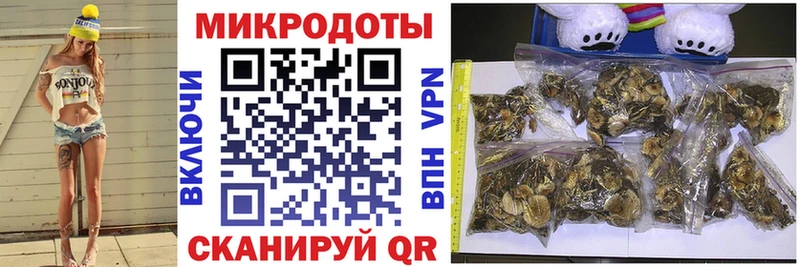 Галлюциногенные грибы Psilocybe Яблоновский